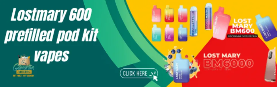 Lost Mary 600 prefilled pod kit vapes