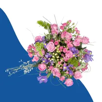 Flowers & Plants category