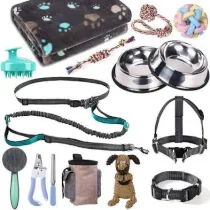 Dog accessories category