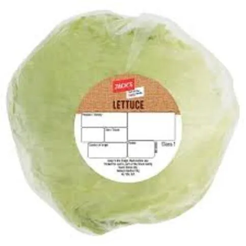Jacks Lettuce