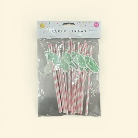 Paper Straws 20pack